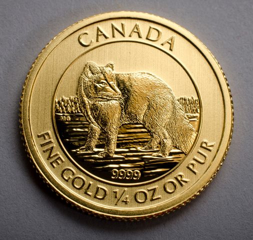 Canada gold arctic fox coin