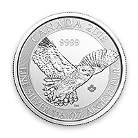 Silver Snowy Owl Coin | Lear Capital's Exclusive Silver Coin