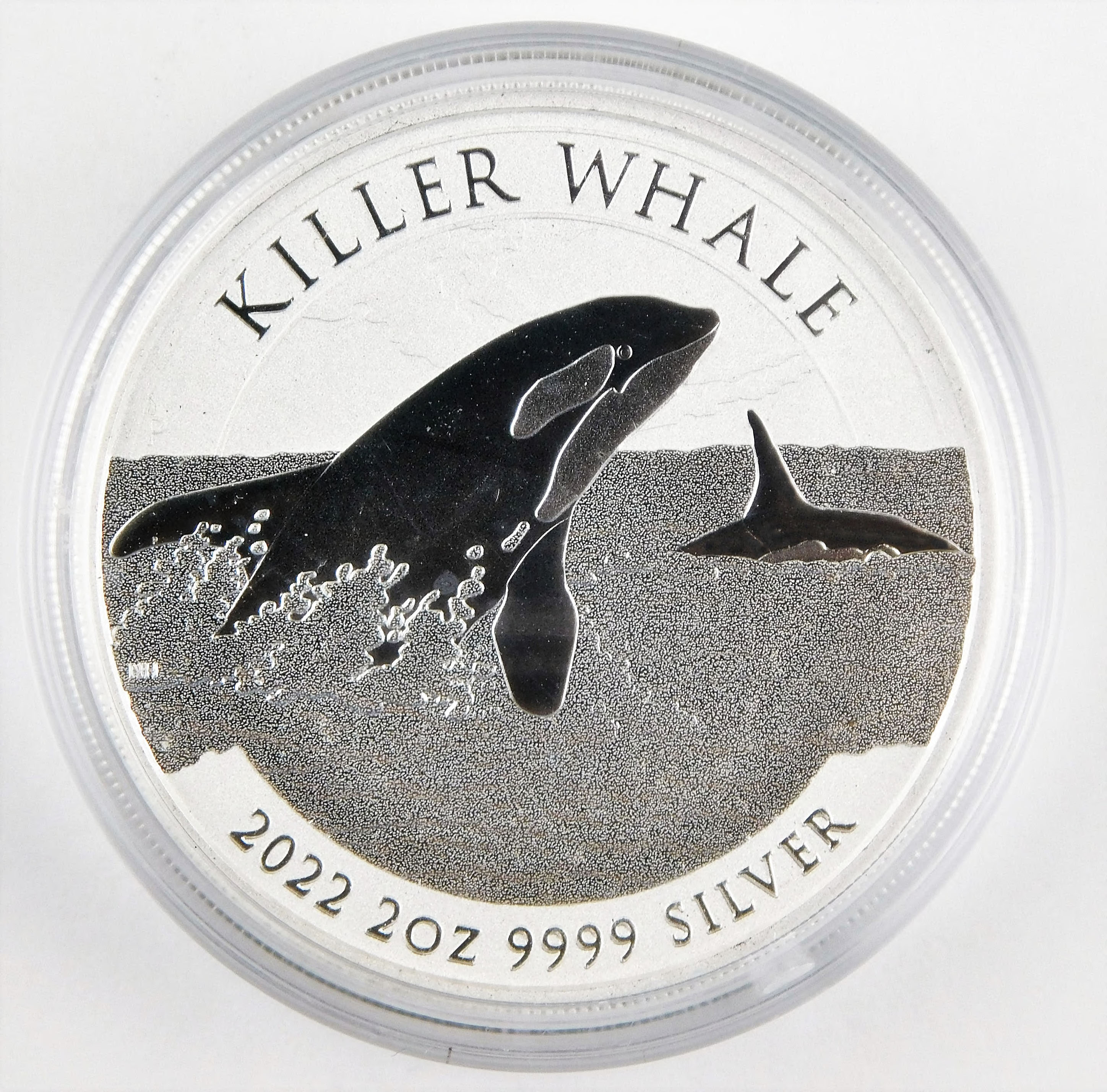 Silver Killer Whale