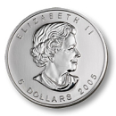 Coin Back 