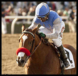 Racing Horse