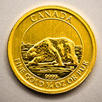Photo - Gold Coin Back