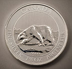 Photo - Silver Coin Back
