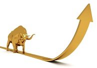 Gold Bull Market