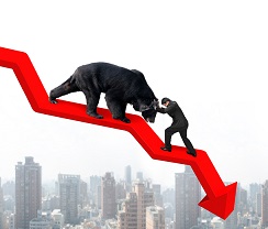 Market Crash Bear Market
