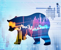 Bear Market Crash
