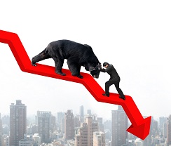 Bear Market Crash