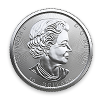 Back - Silver Orca Coin