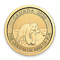 Front - Gold Spirit Bear