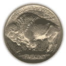 Back - 1913 buffalo or Indian nickel type 1