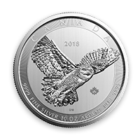 Front - Silver Snowy Owl Coin 10 oz | Lear Capital's Exclusive Silver Coin