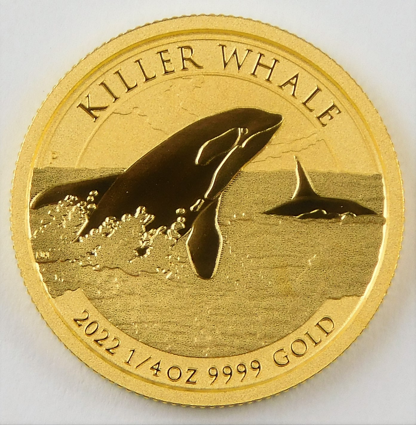 Front - Gold Killer Whale